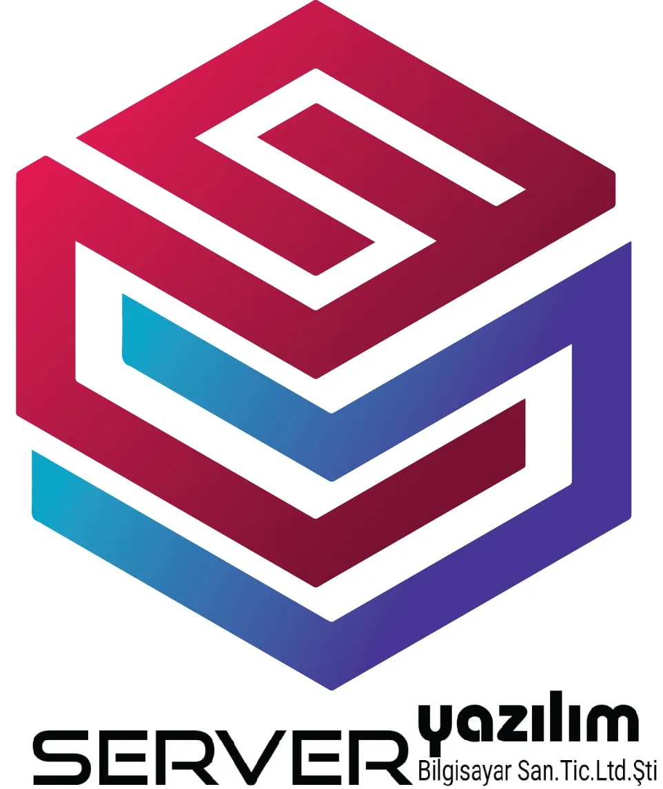 Server Yazılım Hizmetleri - Mikro Yazılım İş Ortağı