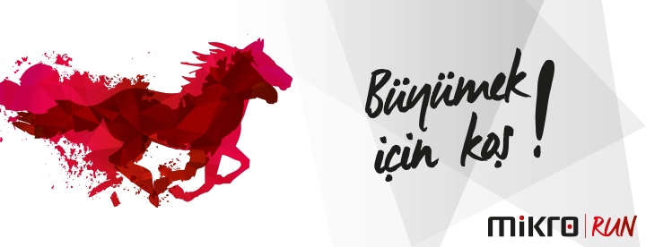 Mikro Run
